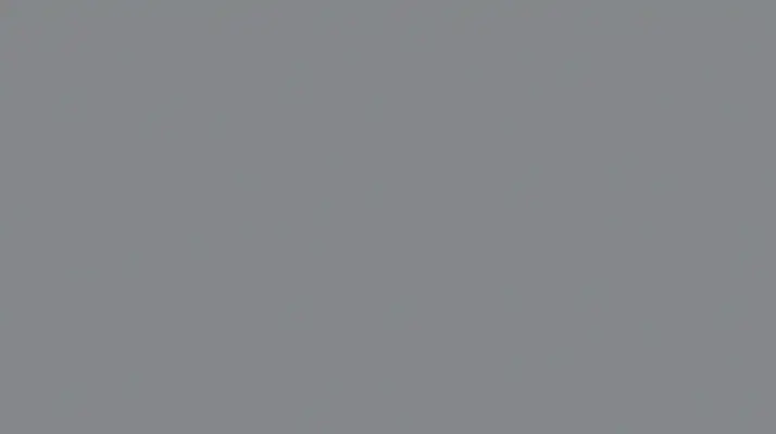 Light-Gray-R9022