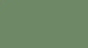 Light-Green-6EC09F